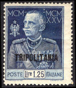 Tripolitania 1925-26 Royal Jubilee 1l25 perf 13½ unmounted mint.