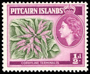 Pitcairn Islands 1963 & souvenir sheet unmounted mint.189;d Cordyline Terminalis wmk 12 unmounted mint.