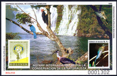 Bolivia 1995 Environmental Protection souvenir sheet unmounted mint.