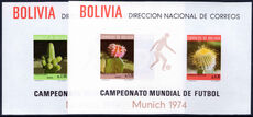 Bolivia 1973 Football World Cup souvenir sheet set unmounted mint.
