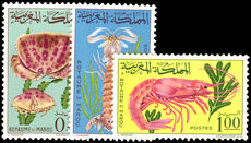Morocco 1965 Shellfish unmounted mint.