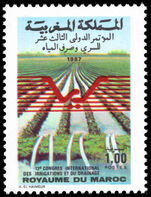 Morocco 1987 13th International Irrigation and Drainage Congress unmounted mint.