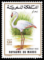 Morocco 1988 Greater Flamingo unmounted mint.