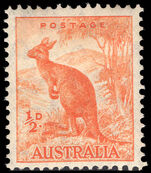 Australia 1948-56 ½d orange Kangeroo no wmk lightly mounted mint.