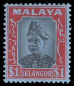 Selangor 1941 $1 black and red on blue lightly mounted mint.