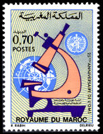 Morocco 1973 25th Anniversary of WHO unmounted mint.