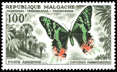 Madagascar 1960 100f Butterfly unmounted mint.