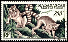 Madagascar 1952 200f Ring-tailed Lemurs fine used.