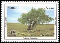 Syria 2006 Pistacia atlantica unmounted mint.