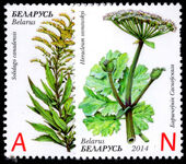 Belarus 2014 Invasive Plants unmounted mint.