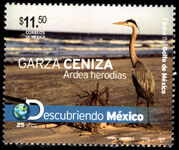 Mexico 2010 Fauna of Gulf of Mexico. Great Blue Heron unmounted mint.