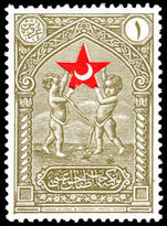 Turkey 1929 1ghr child welfare unmounted mint.