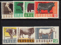 Uruguay 1966 Cattle Breeding unmounted mint.