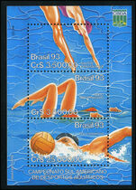 Brazil 1993 Water Sports souvenir sheet unmounted mint.